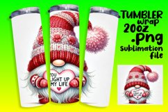 FLAWLESS 20oz Tumbler Graphic , Gnomes Product Image 1