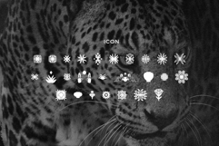 El Pacre Display Font Product Image 6