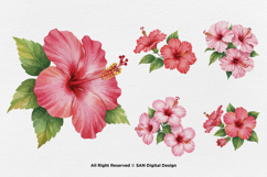 15 Bundle Watercolor Hibiscus Flower Blossom Hawaiian Floral Product Image 6