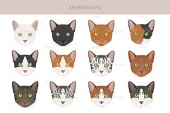 Arabian Mau Cat clipart Product Image 5