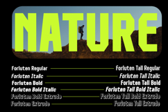 Forluten Product Image 6