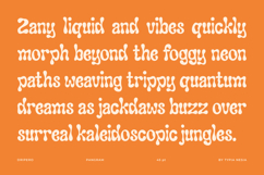 Dripero - Psychedelic Liquify Retro Font Product Image 6