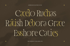 The Choirs - Beauty Elegant Ligature Serif Product Image 6