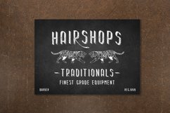 South Ribble - A Vintage Scratches Font Product Image 8