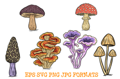6 Mushroom Fungi Clipart Illustrations Toadstool Woodland Product Image 2