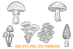6 Mushroom Fungi Clipart Illustrations Toadstool Woodland Product Image 3