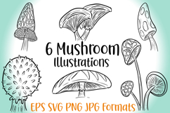 6 Mushroom Fungi Clipart Illustrations Toadstool Woodland Product Image 2