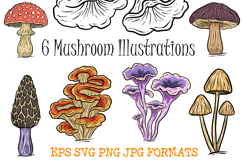 6 Mushroom Fungi Toadstool Clipart Illustration Collection by Squeeb Creative