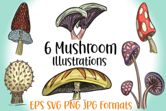 6 Mushroom Fungi Toadstool Clipart Illustration Collection by Squeeb Creative