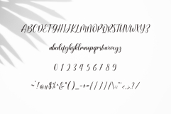 Gabriel Product Image 6