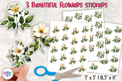 Floral Stickers, Cherokee Rose Stickers, Printable Stickers Product Image 1
