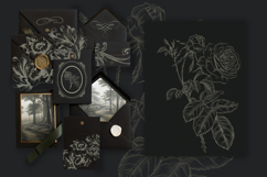 Bundle of vector vintage flourishes Product Image 6