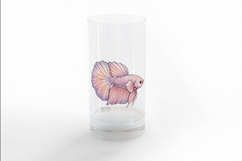 Cute Betta Fish Marine Animal Freshwater Fish PNG Summer Product Image 3