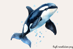 Underwater Animals Clipart PNG Product Image 1