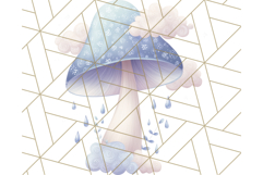 Dreamy Patterned Mushroom Clipart PNG, Forest Elements Png Product Image 4