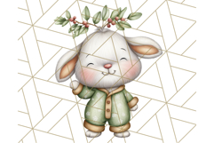 Christmas Pets in Pajamas Clipart PNG, Christmas Png Clipart Product Image 4