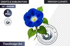 Flower Clipart PNG, Botanical Illustration Floral graphic Product Image 1