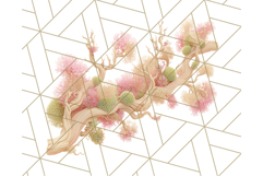 Fall Foliage Clipart PNG, Pink and Green Leaves Product Image 4