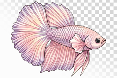 Cute Betta Fish Marine Animal Freshwater Fish PNG Summer Product Image 1