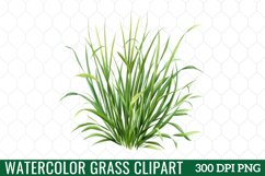 Watercolor Grass Clipart Product Image 1