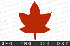 Leave Svg | Fall Svg | Svg Cut File Product Image 1