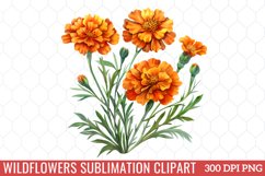 Wildflowers Sublimation Clipart Product Image 1