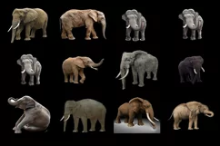 60 ELEPHANTS TRANSPARENT PNG FILES ANIMAL PHOTOSHOP OVERLAYS Product Image 4