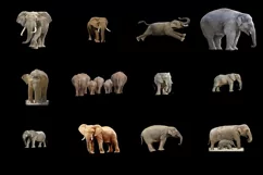 60 ELEPHANTS TRANSPARENT PNG FILES ANIMAL PHOTOSHOP OVERLAYS Product Image 6