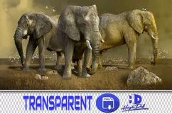 60 ELEPHANTS TRANSPARENT PNG FILES ANIMAL PHOTOSHOP OVERLAYS Product Image 1