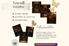 Velvet Mascarade Backdrops and Baroque Fantasy Interiors Product Image 2