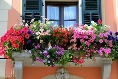 Balcony bursting with colorful blooms Product Image 1