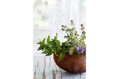 Bouquet of garden herbs Product Image 1