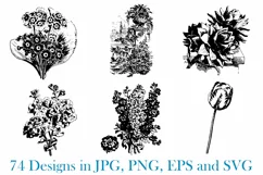 74 Woodcut Vintage Floral and Garden Illustration Collection Product Image 3