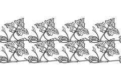 Line art botanical floral horizontal border with grapevine Product Image 1