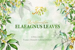 Watercolor Green leaves Elaeagnus PNG Product Image 1