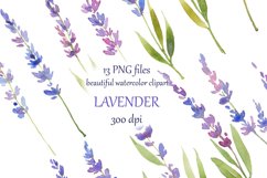 watercolor hand painted Lavender Clipart Product Image 1