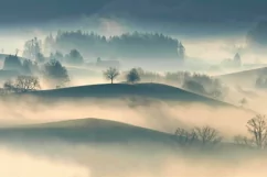 100 FOG TRANSPARENT PNG FILES, PHOTOSHOP OVERLAYS Product Image 3