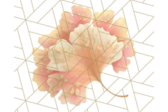 Fall Foliage Clipart PNG, Pink and Green Leaves Product Image 5