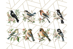 Vintage Song Bird Clipart PNG, Botanical Bird Art Clip Art Product Image 5