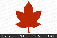 Leave Svg | Fall Svg | Svg Cut File Product Image 1
