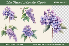 Lilac Flower Watercolor Cliparts PNG Product Image 1