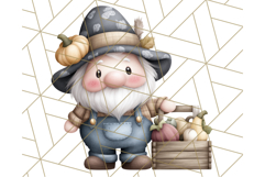 Fall Gnome Clipart PNG Cute Thanksgiving Gnomes Product Image 5