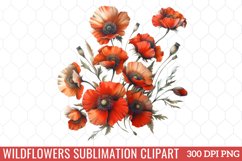 Wildflowers Sublimation Clipart Product Image 1