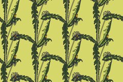 Botanical abstract seamless pattern background with dandelio Product Image 1