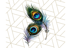 Peacock Christmas Clipart in Jewel Tones, Christmas Png Product Image 5