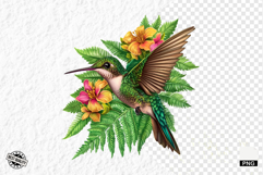 Tropical Birds Clipart - Summer Birds PNG Product Image 1