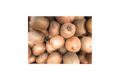 Green Kiwifruit Product Image 1