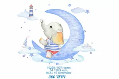 Watercolor elephant baby clipart. Cute Nautical Sea Ocean Ki Product Image 2