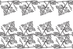 Line art botanical floral horizontal seamless border vector Product Image 1