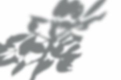 Leaves Shadow Overlay Effect Mockup Product Image 2